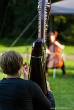 Harp & cello