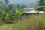 Baracoa, platteland 